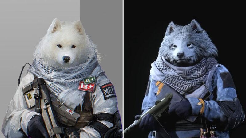 On the left, the artist Sailin's medic character, on the right CoD Warzone's new Fluffy Dog Skin